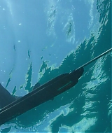 2928.jpg